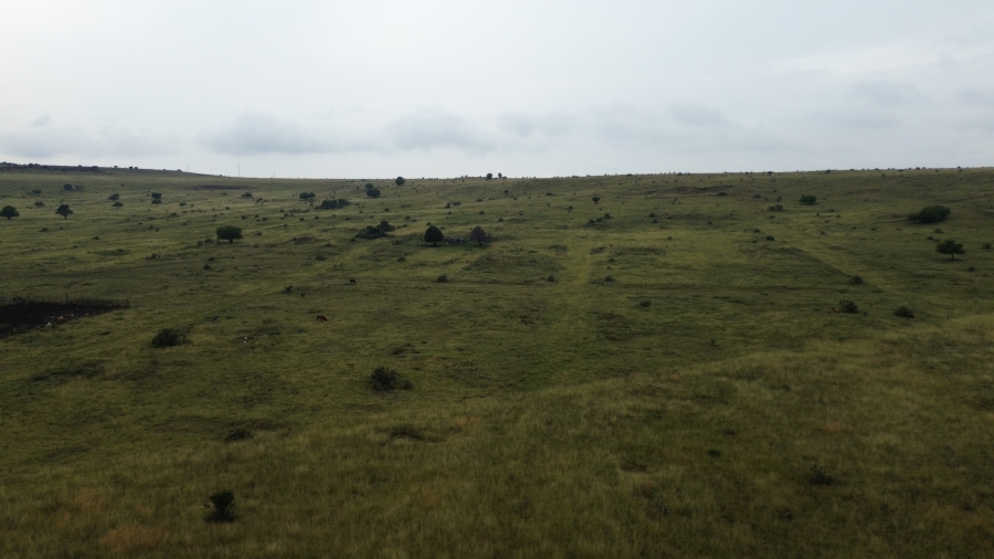 Commercial Property for Sale in Villiers Free State